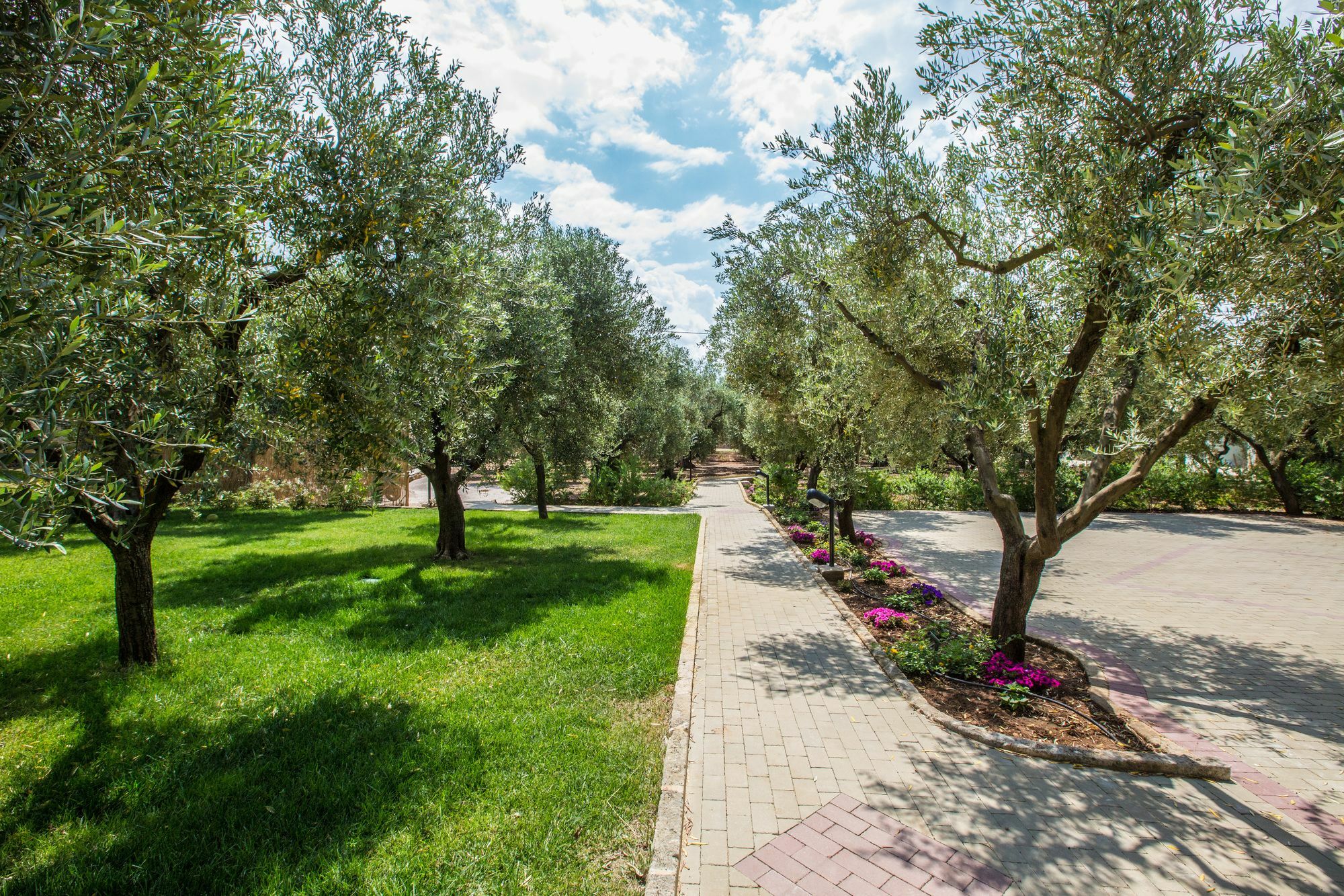 Dimora Tenuta Solentino 托雷圣乔万尼乌 外观 照片